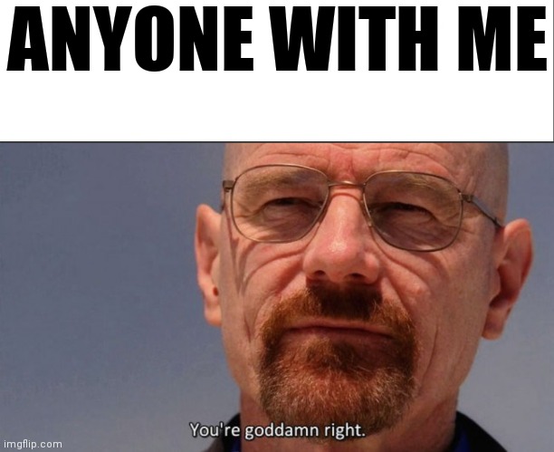 ANYONE WITH ME | image tagged in white bar,you're goddamn right | made w/ Imgflip meme maker