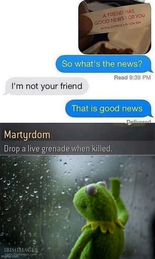 Fr | image tagged in kermit window,funny,funny memes,memes,no friends,lonely | made w/ Imgflip meme maker