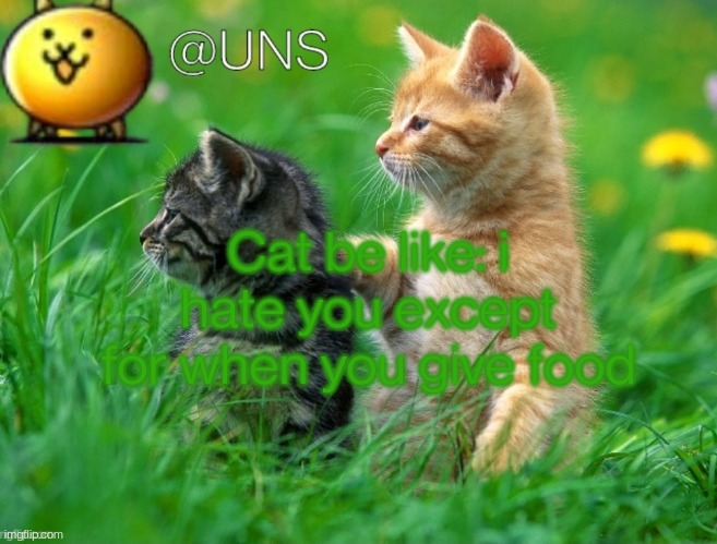 Cat be like: i hate you except for when you give food | image tagged in uns template | made w/ Imgflip meme maker