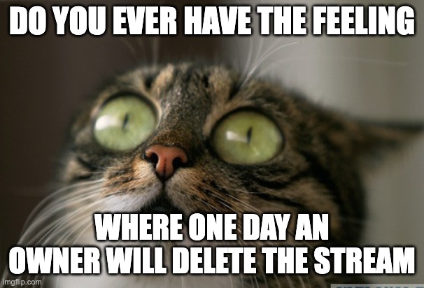 Trauma cat | DO YOU EVER HAVE THE FEELING; WHERE ONE DAY AN OWNER WILL DELETE THE STREAM | image tagged in trauma cat | made w/ Imgflip meme maker
