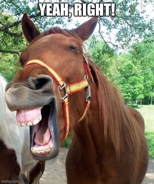 Laughing Horse | YEAH, RIGHT! | image tagged in laughing horse | made w/ Imgflip meme maker