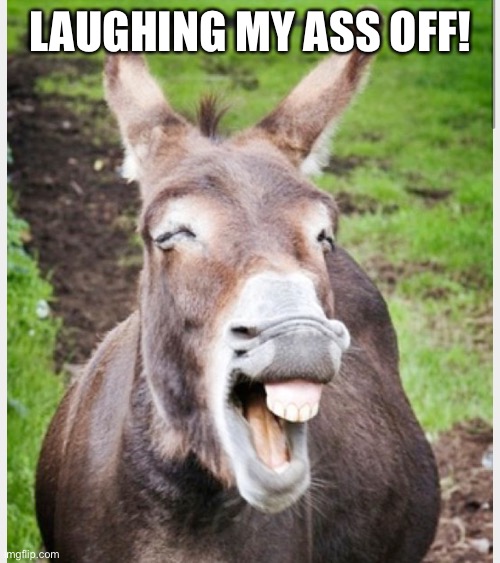 Laughing ass | LAUGHING MY ASS OFF! | image tagged in laughing ass | made w/ Imgflip meme maker