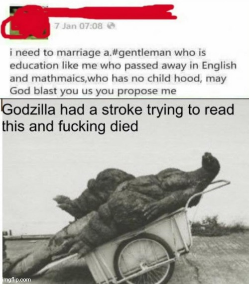 what? | image tagged in godzilla,funny,memes,funny memes,lol,what | made w/ Imgflip meme maker