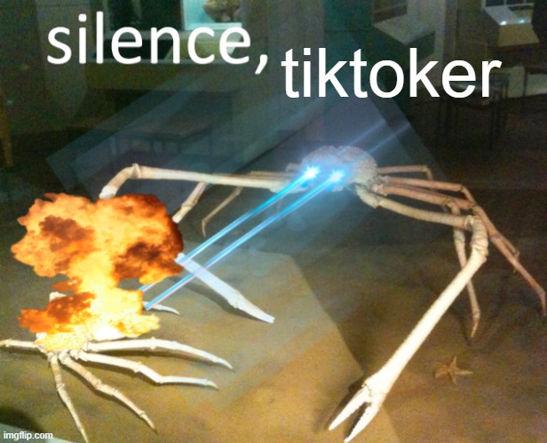 Silence Crab | tiktoker | image tagged in silence crab | made w/ Imgflip meme maker