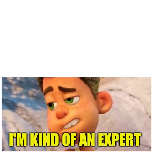 I'm kind of am expert | I'M KIND OF AN EXPERT | image tagged in i'm kind of am expert | made w/ Imgflip meme maker