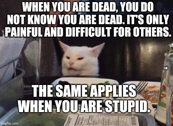 Salad cat | WHEN YOU ARE DEAD, YOU DO NOT KNOW YOU ARE DEAD. IT'S ONLY PAINFUL AND DIFFICULT FOR OTHERS. J M; THE SAME APPLIES WHEN YOU ARE STUPID. | image tagged in salad cat | made w/ Imgflip meme maker