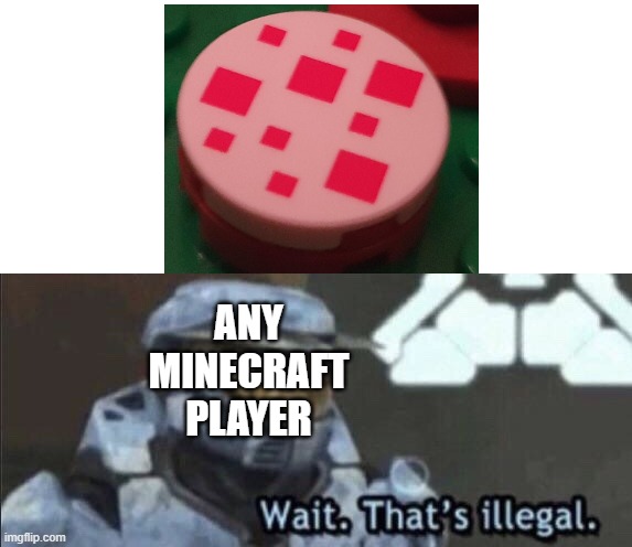 Wait that’s illegal | ANY MINECRAFT PLAYER | image tagged in wait that s illegal | made w/ Imgflip meme maker