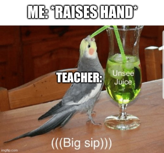 Unsee juice | ME: *RAISES HAND*; TEACHER: | image tagged in unsee juice | made w/ Imgflip meme maker