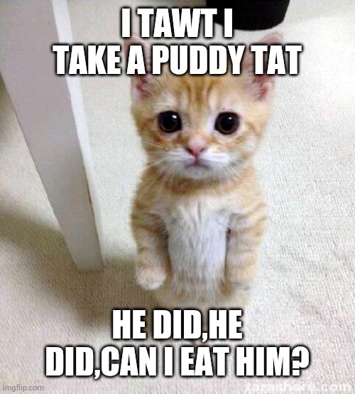 Cute Cat Meme | I TAWT I TAKE A PUDDY TAT; HE DID,HE DID,CAN I EAT HIM? | image tagged in memes,cute cat | made w/ Imgflip meme maker