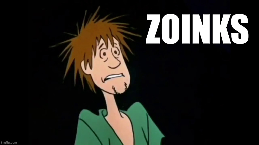 Zoinks | ZOINKS | image tagged in zoinks | made w/ Imgflip meme maker