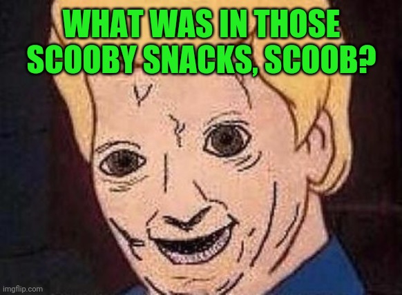 Shaggy this isnt weed fred scooby doo | WHAT WAS IN THOSE SCOOBY SNACKS, SCOOB? | image tagged in shaggy this isnt weed fred scooby doo | made w/ Imgflip meme maker