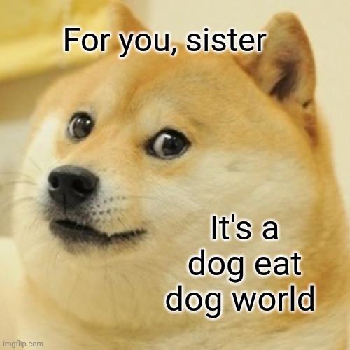 Doge Meme | For you, sister It's a dog eat dog world | image tagged in memes,doge | made w/ Imgflip meme maker