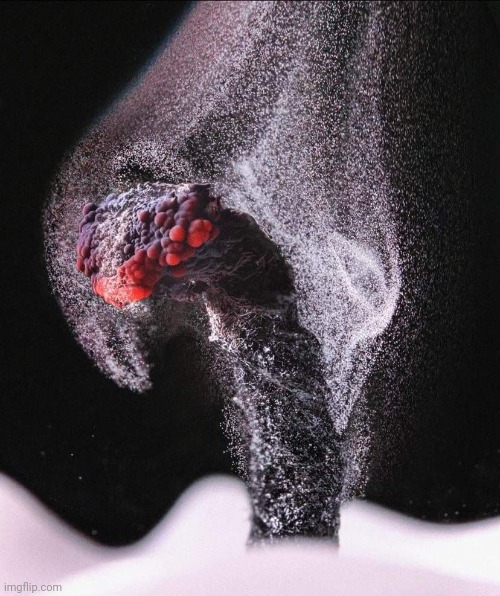Blown-out candle wickPhoto credit: Macrofying | image tagged in candles,smoke,awesome,photography | made w/ Imgflip meme maker