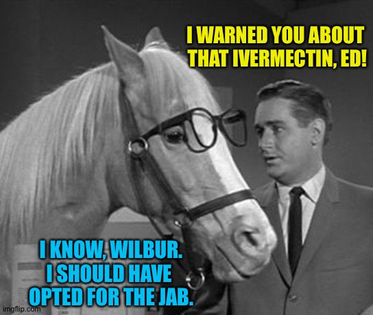 Wilbur's pal Ed was a human until... | I WARNED YOU ABOUT 
THAT IVERMECTIN, ED! I KNOW, WILBUR.
I SHOULD HAVE 
OPTED FOR THE JAB. | image tagged in stable genius | made w/ Imgflip meme maker