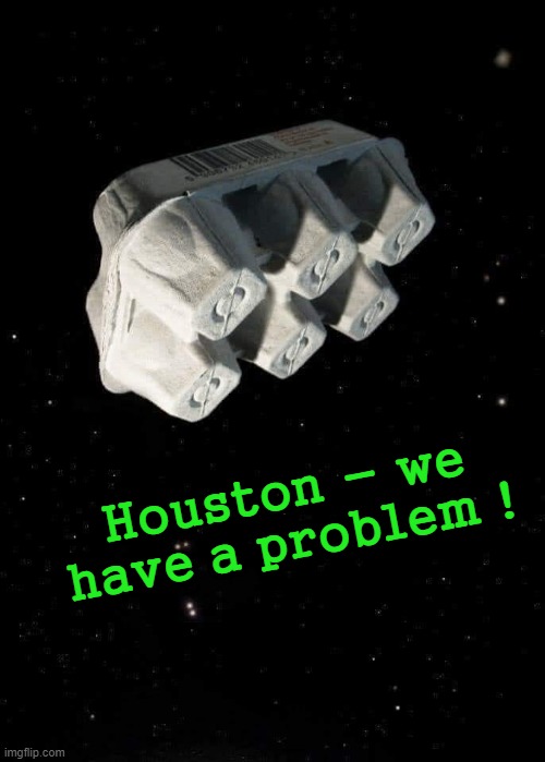 Houston ! | Houston - we have a problem ! | image tagged in egg | made w/ Imgflip meme maker