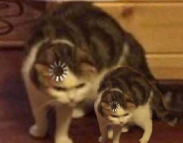 High Quality multiple loading cats Blank Meme Template
