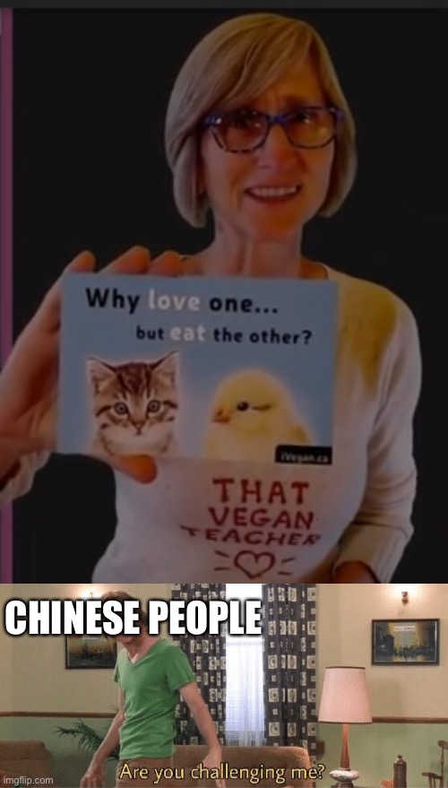 Title | CHINESE PEOPLE | image tagged in are you challenging me | made w/ Imgflip meme maker