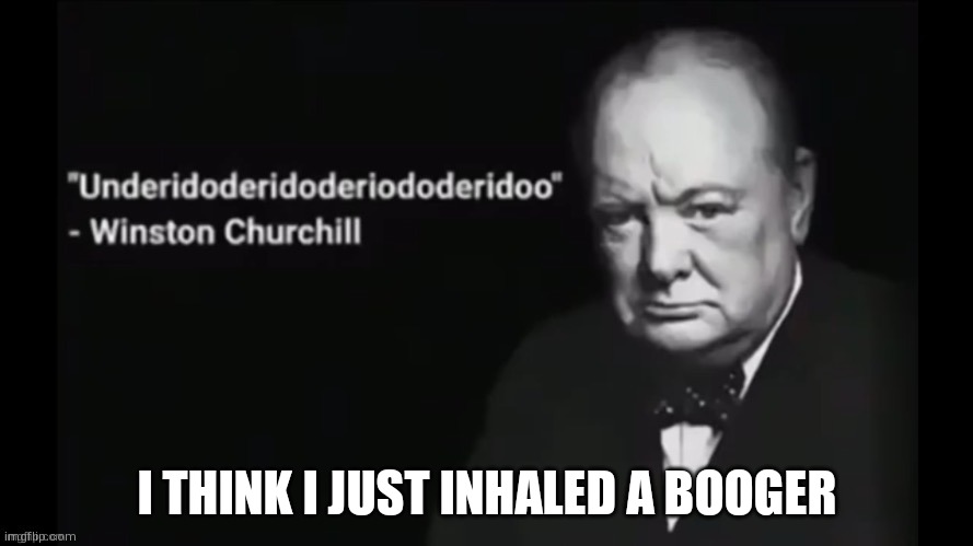 Underidoderidoderiododeridoo | I THINK I JUST INHALED A BOOGER | image tagged in winston churchill gibberish | made w/ Imgflip meme maker