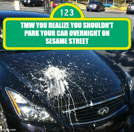 SRSLY tho | TMW YOU REALIZE YOU SHOULDN'T
PARK YOUR CAR OVERNIGHT ON
SESAME STREET | image tagged in memes,big bird,sesame street,car,bird poop | made w/ Imgflip meme maker