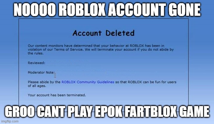noooo | NOOOO ROBLOX ACCOUNT GONE; GROO CANT PLAY EPOK FARTBLOX GAME | image tagged in roblox account deleted | made w/ Imgflip meme maker
