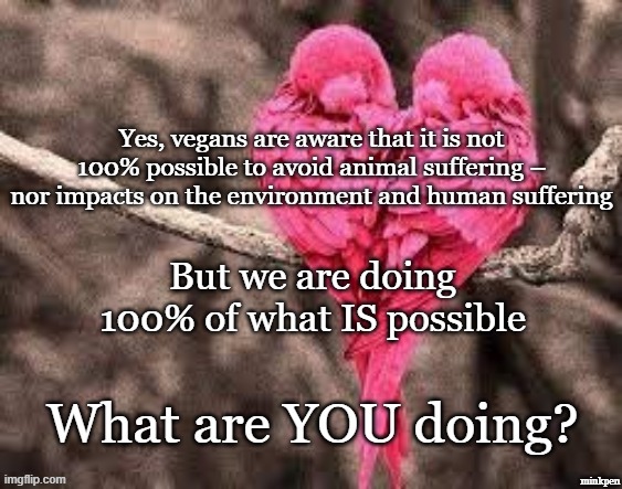 100% | But we are doing 100% of what IS possible; minkpen | image tagged in vegan,meat,suffering,animals,humans,environment | made w/ Imgflip meme maker