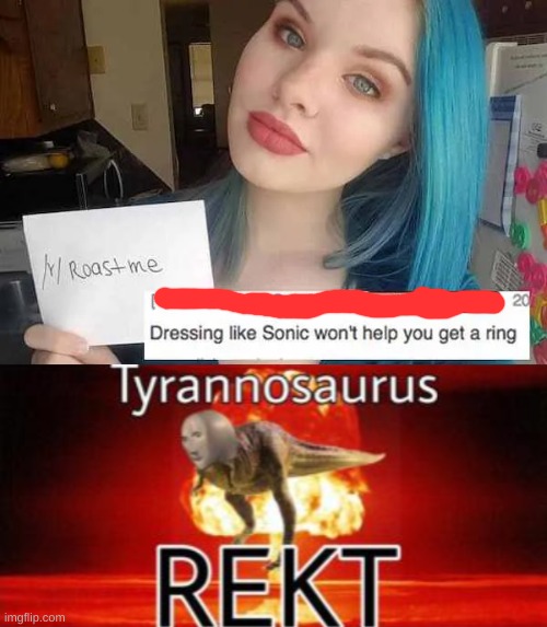 There is no way she looks like sonic | image tagged in tyrannosaurus rekt,rare,roasts,sonic | made w/ Imgflip meme maker