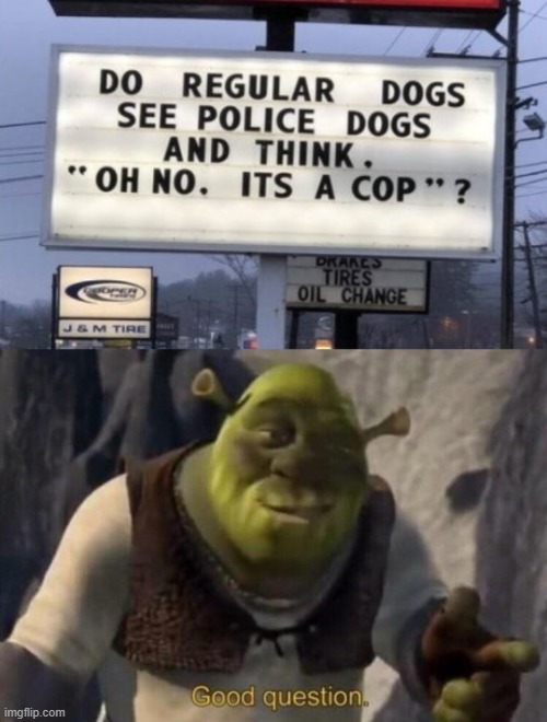 good question | image tagged in shrek good question | made w/ Imgflip meme maker