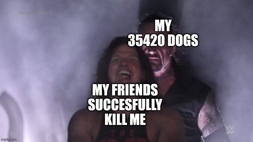 Minnecraft Memes | MY 35420 DOGS; MY FRIENDS SUCCESFULLY KILL ME | image tagged in aj styles undertaker,memes,minecraft,funny memes | made w/ Imgflip meme maker