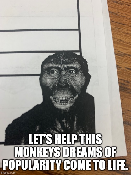 Monkey | LET’S HELP THIS MONKEYS DREAMS OF POPULARITY COME TO LIFE. | image tagged in monkey | made w/ Imgflip meme maker