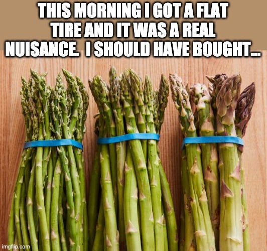 Flat tire | THIS MORNING I GOT A FLAT TIRE AND IT WAS A REAL NUISANCE.  I SHOULD HAVE BOUGHT... | image tagged in bad pun | made w/ Imgflip meme maker