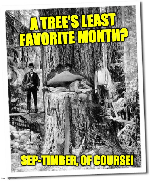 A sappy pun | A TREE'S LEAST FAVORITE MONTH? SEP-TIMBER, OF COURSE! | image tagged in lumberjack | made w/ Imgflip meme maker