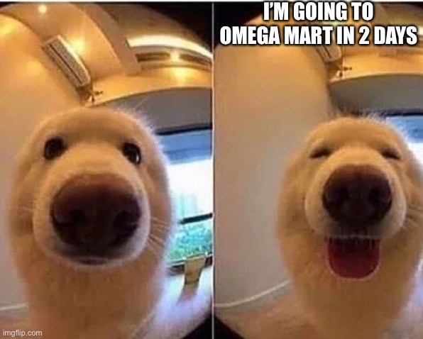 wholesome doggo | I’M GOING TO OMEGA MART IN 2 DAYS | image tagged in wholesome doggo | made w/ Imgflip meme maker