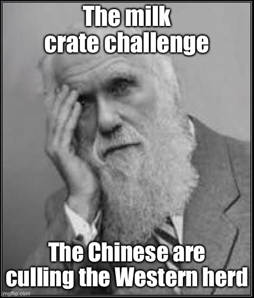 darwin facepalm | The milk crate challenge The Chinese are culling the Western herd | image tagged in darwin facepalm | made w/ Imgflip meme maker