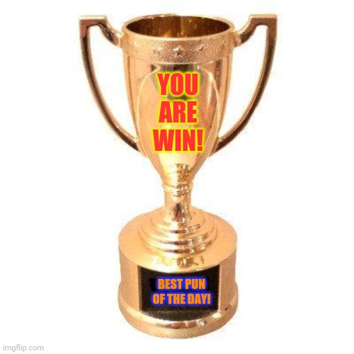 Participation trophy | YOU ARE WIN! BEST PUN OF THE DAY! | image tagged in participation trophy | made w/ Imgflip meme maker