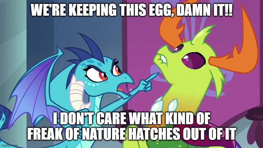 WE'RE KEEPING THIS EGG, DAMN IT!! I DON'T CARE WHAT KIND OF FREAK OF NATURE HATCHES OUT OF IT | made w/ Imgflip meme maker