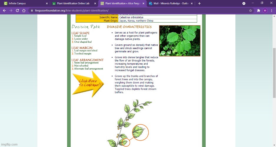 Our freaking horticulture homework- | made w/ Imgflip meme maker