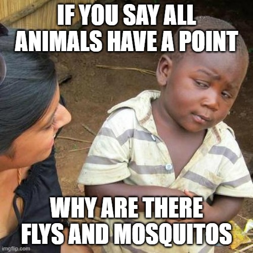 Useless bugs | IF YOU SAY ALL ANIMALS HAVE A POINT; WHY ARE THERE FLYS AND MOSQUITOS | image tagged in memes,third world skeptical kid,bug | made w/ Imgflip meme maker