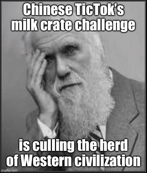 Darwinism | Chinese TicTok’s milk crate challenge; is culling the herd of Western civilization | image tagged in darwin facepalm,tictok,chinese,survival of the fitest,milk crate challenge | made w/ Imgflip meme maker