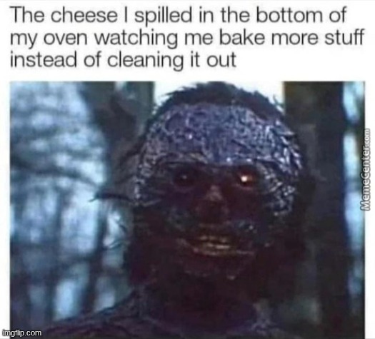 Burnt Cheese in the Oven | image tagged in lol | made w/ Imgflip meme maker