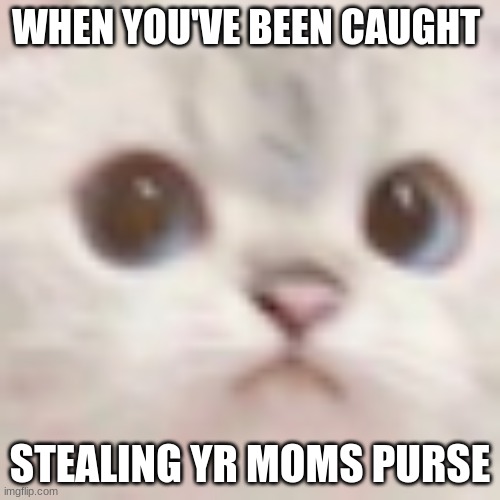 YOU'VE BEEN CAUGHT | WHEN YOU'VE BEEN CAUGHT; STEALING YR MOMS PURSE | image tagged in funny | made w/ Imgflip meme maker