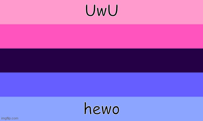 omni flag | UwU; hewo | image tagged in flag | made w/ Imgflip meme maker