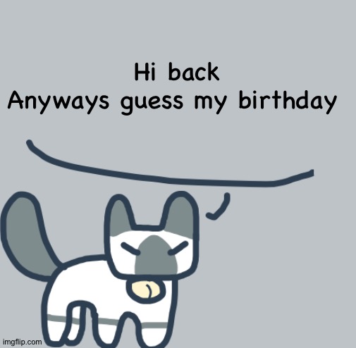 Cat | Hi back
Anyways guess my birthday | image tagged in cat | made w/ Imgflip meme maker
