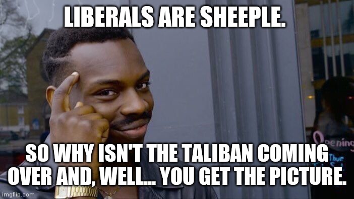Taliban | LIBERALS ARE SHEEPLE. SO WHY ISN'T THE TALIBAN COMING OVER AND, WELL... YOU GET THE PICTURE. | image tagged in taliban,sheeple,liberals,jihad,politics | made w/ Imgflip meme maker