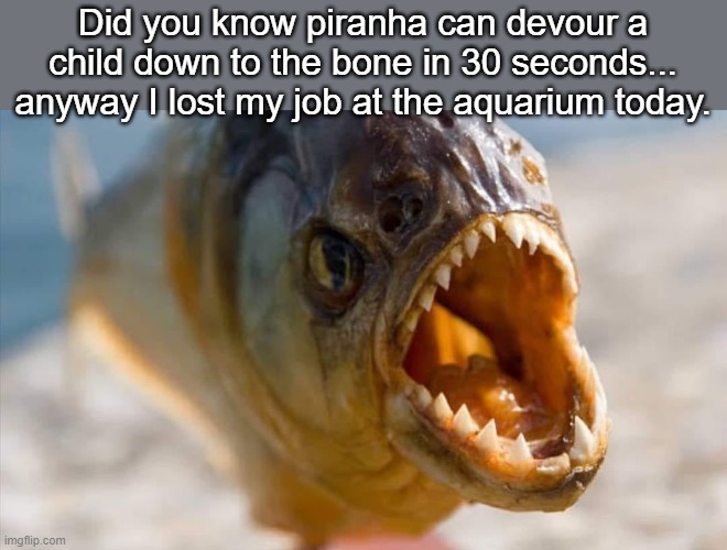 Did you know piranha can devour a child down to the bone in 30 seconds... anyway I lost my job at the aquarium today. | image tagged in dark humor | made w/ Imgflip meme maker