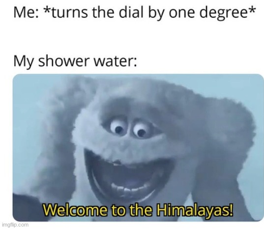 Welcome to the Himalayas! | image tagged in cold shower | made w/ Imgflip meme maker