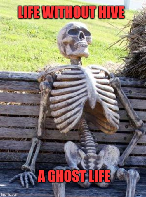 Waiting Skeleton Meme | LIFE WITHOUT HIVE; A GHOST LIFE | image tagged in memes,waiting skeleton | made w/ Imgflip meme maker