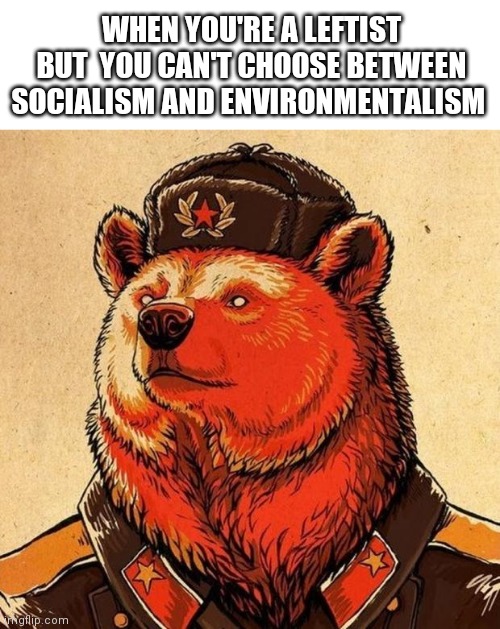 SocIaLIsM | WHEN YOU'RE A LEFTIST BUT  YOU CAN'T CHOOSE BETWEEN SOCIALISM AND ENVIRONMENTALISM | image tagged in socialism,communism,environmentalism,left wing,politics | made w/ Imgflip meme maker