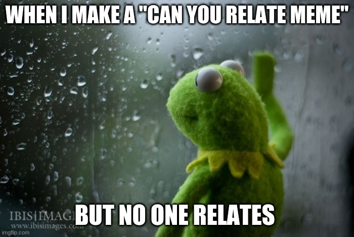 kermit window | WHEN I MAKE A "CAN YOU RELATE MEME"; BUT NO ONE RELATES | image tagged in kermit window | made w/ Imgflip meme maker