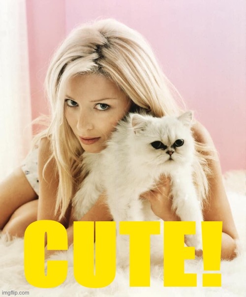 Dannii cat cute | image tagged in dannii cat cute | made w/ Imgflip meme maker