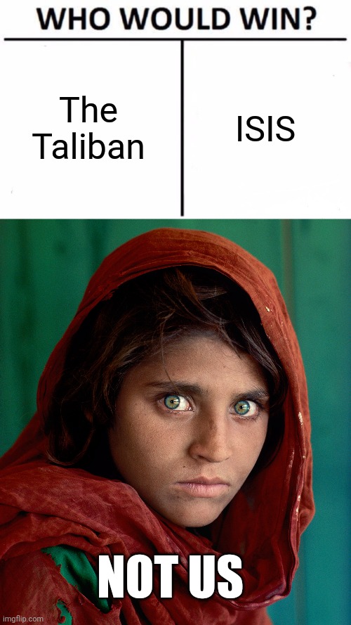 The Taliban; ISIS; NOT US | image tagged in memes,who would win | made w/ Imgflip meme maker